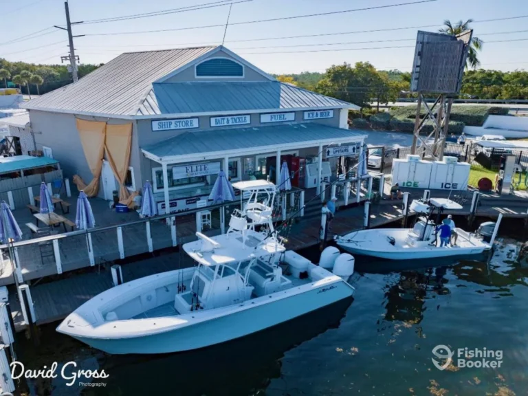 1aa12139d648907294eb849f2d8d6154 768x576