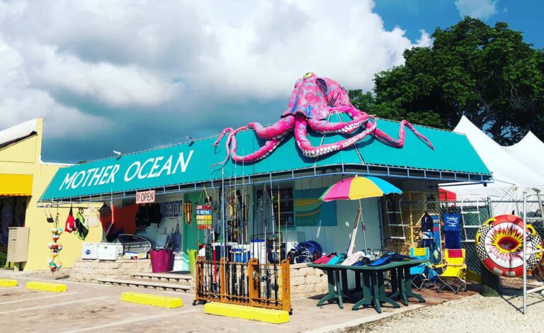 485054722 1203739561753969 6244506069362795021 n 768x470