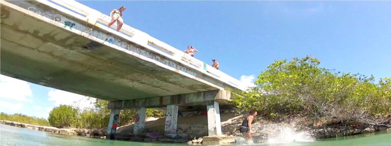 Bridgejumping 768x288