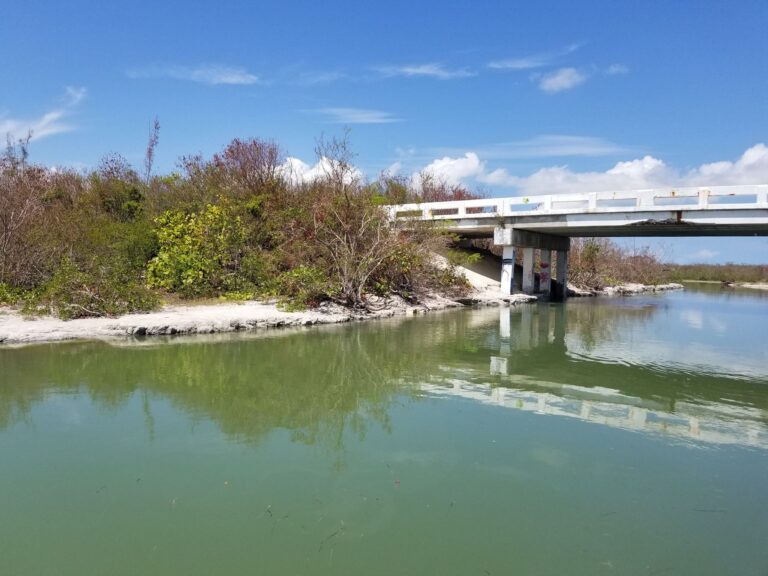 Sugarloagjumpingbridge 768x576