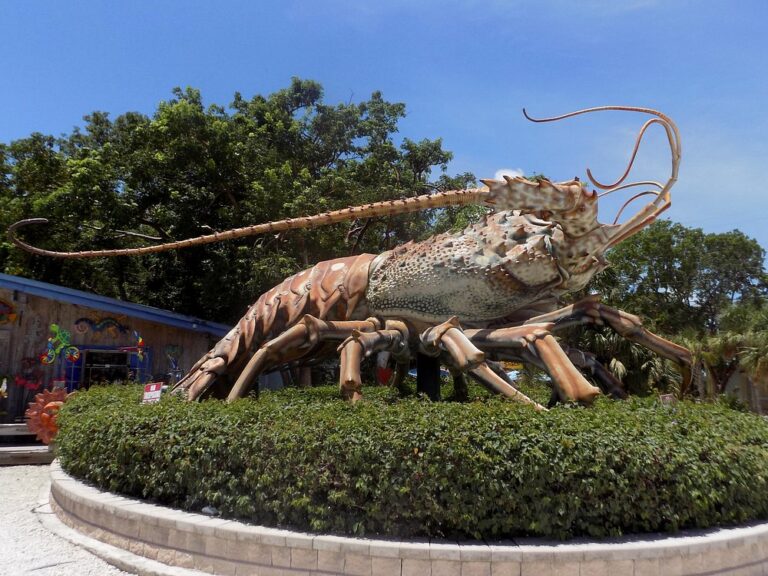 large display in front 768x576