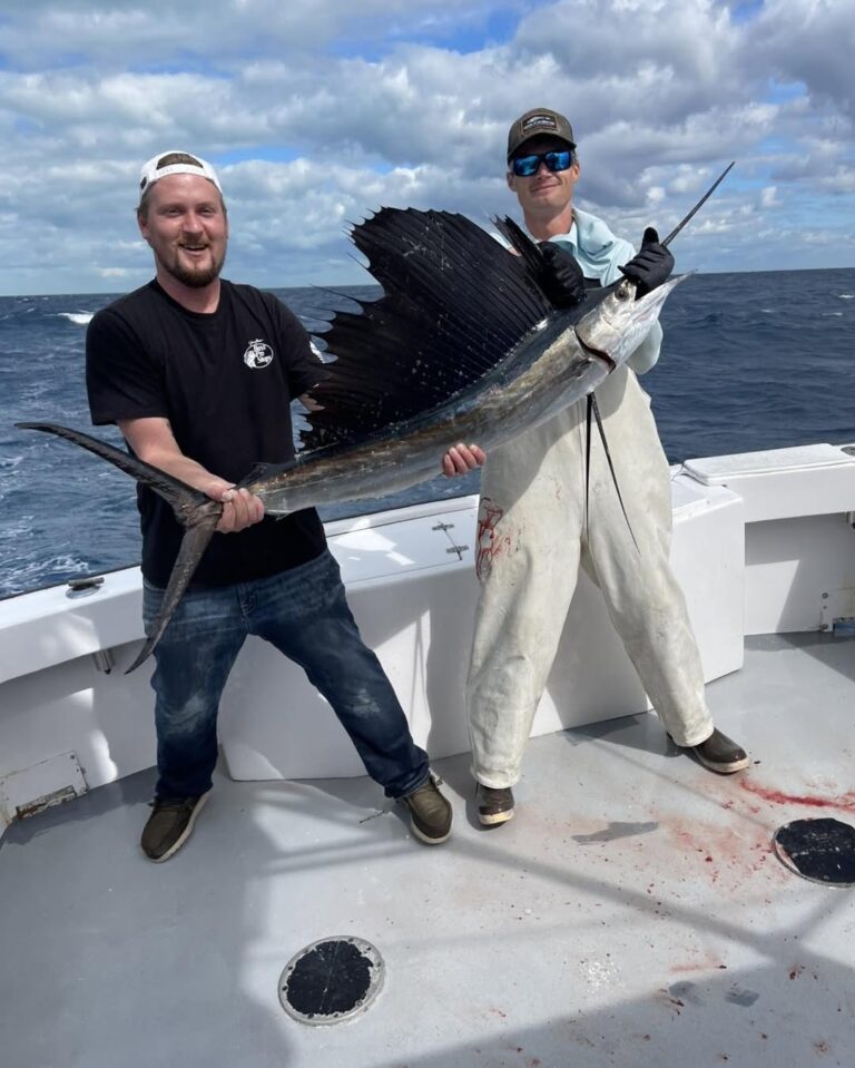 583908929 1586314993073668 5638042825477497171 n 768x959