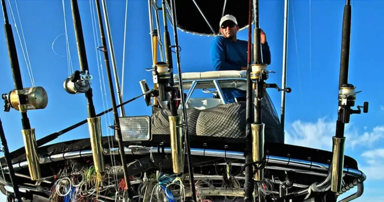 about 1 1170 2 768x404